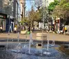 Umidade do ar cai a 11% e Londrina entra em emergência