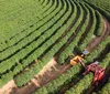 Valor Bruto da Produção do agro alcançou R$ 1,4 trilhão em agosto