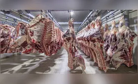 Exportação de carne bovina impulsiona frigoríficos do Paraná
