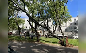Força-tarefa segue com limpeza após temporal em Londrina