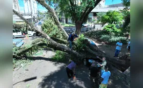 Londrina decreta situação de emergência em razão do temporal