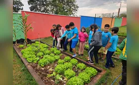 Meio ambiente é tema permanente na Rede Municipal de Ensino