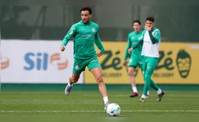 Mirando o topo, Palmeiras recebe o Inter no Allianz