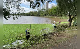UTFPR analisa impacto da água do Igapó após a chuva