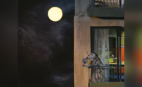 Uma história incrível: o dia em que lua derreteu