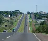 Cuidado com animais silvestres nas estradas