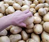 Cesta básica em Londrina se aproxima dos R$ 680 em abril