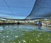 Comunidade Avá Guarani realiza manejo sustentável de piscicultura em tanque elevado