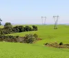 Faep contesta obrigação de manejo de árvores perto de redes elétricas