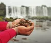 Operação de limpeza recolhe 383 kg de moedas das Cataratas do Iguaçu