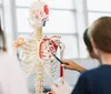 Paraná tem 3 cursos de medicina com nota baixa no Enamed