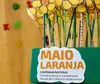 Professores de Londrina participam de live sobre prevenção ao abuso infantil