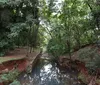 Proposta amplia faixa de fundos de vale no Código Ambiental