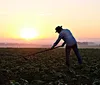 Redução da jornada deve gerar custo de R$ 4,1 bi ao agro