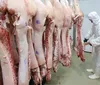 Vendas de empresas do Paraná para outros estados crescem 211% em sete anos