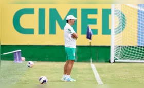 Palmeiras visita Novorizontino para manter 100%