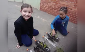 Ações escolares promovem respeito ao ambiente