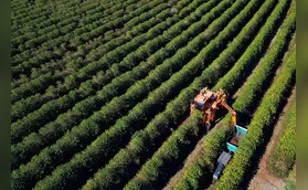 Agronegócio somou R$ 1,26 bi em contratações do BRDE em 2025