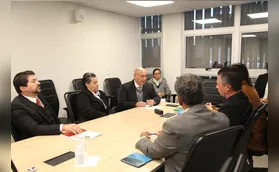 Anne vai depor à Comissão Processante na próxima semana