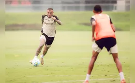 Campeões estaduais, Flamengo e Cruzeiro se enfrentam