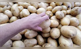 Cesta básica em Londrina se aproxima dos R$ 680 em abril