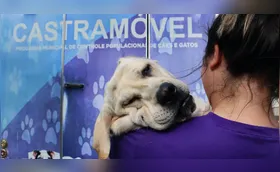 CMTU realizará primeiro mutirão de castrações de cães e gatos em abril
