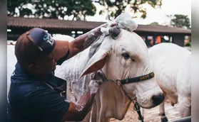 Equipe garante bem-estar dos animais da ExpoLondrina 24 horas por dia