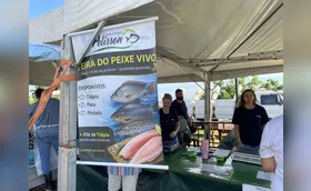 Feira do Peixe Vivo 2026 oferta peixe fresco com preço justo em Londrina