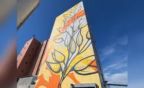 Grafite de 40 metros é visto da estrada em fábrica de aveia