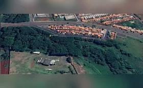 Ibiporã vai retirar plantas exóticas invasoras de conjunto habitacional