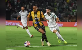 Novorizontino e Palmeiras decidem título paulista
