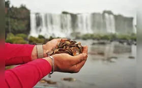 Operação de limpeza recolhe 383 kg de moedas das Cataratas do Iguaçu