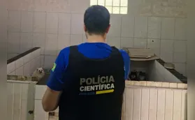 Operação resgata 50 cães da raça spitz alemão em situação de maus-tratos