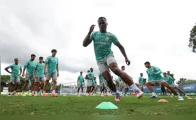 Palmeiras e Fluminense fazem duelo de líderes