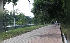 Parque Arthur Thomas sedia evento de observação de aves no sábado