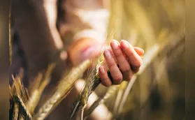 Prêmio Mulher do Agro abre inscrições