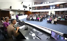 Procuradorias da Mulher debatem proteção e políticas públicas no Paraná
