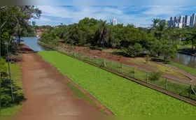 Proliferação de macrófitas volta a poluir o Lago Igapó
