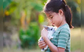 Respeito a animais pode ser ensinado nas escolas