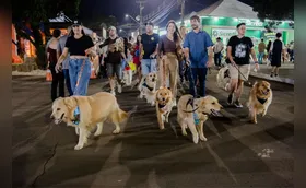Sunset dos Goldinhos reúne dezenas de Goldens Retrievers na ExpoLondrina