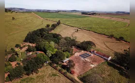 TRF4 reafirma Código Florestal em áreas da Mata Atlântica no PR