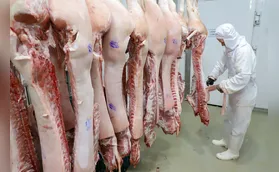 Vendas de empresas do Paraná para outros estados crescem 211% em sete anos