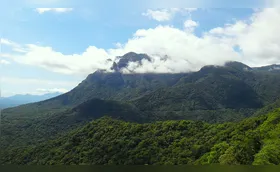 Visto com receio pela oposição, Código Florestal entra no debate
