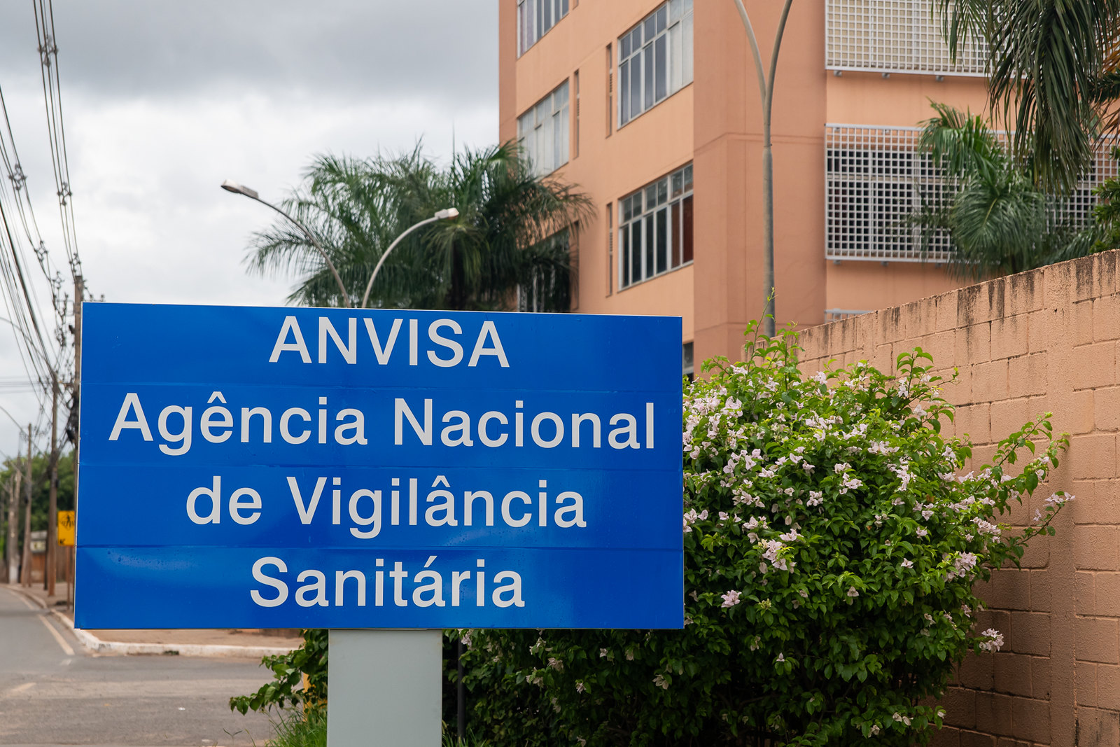 Anvisa aprova o registro do primeiro teste para diagnosticar Monkeypox