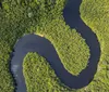 Alertas de desmatamento na Amazônia caem 35%