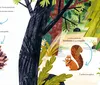 Da árvore ao papel, saiba como nasce um livro