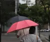 Meteorologia prevê chuva de granizo na Região Sul