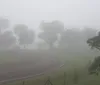 Nevoeiro encobre Londrina e deve voltar nos próximos dias