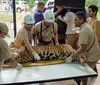 Onça-pintada capturada em bairro de Foz do Iguaçu está em refúgio biológico