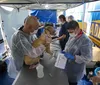 Paraná poderá ter novo protocolo de anestesia para castração de animais